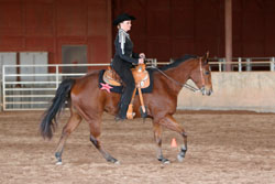 Person riding horse in a canter